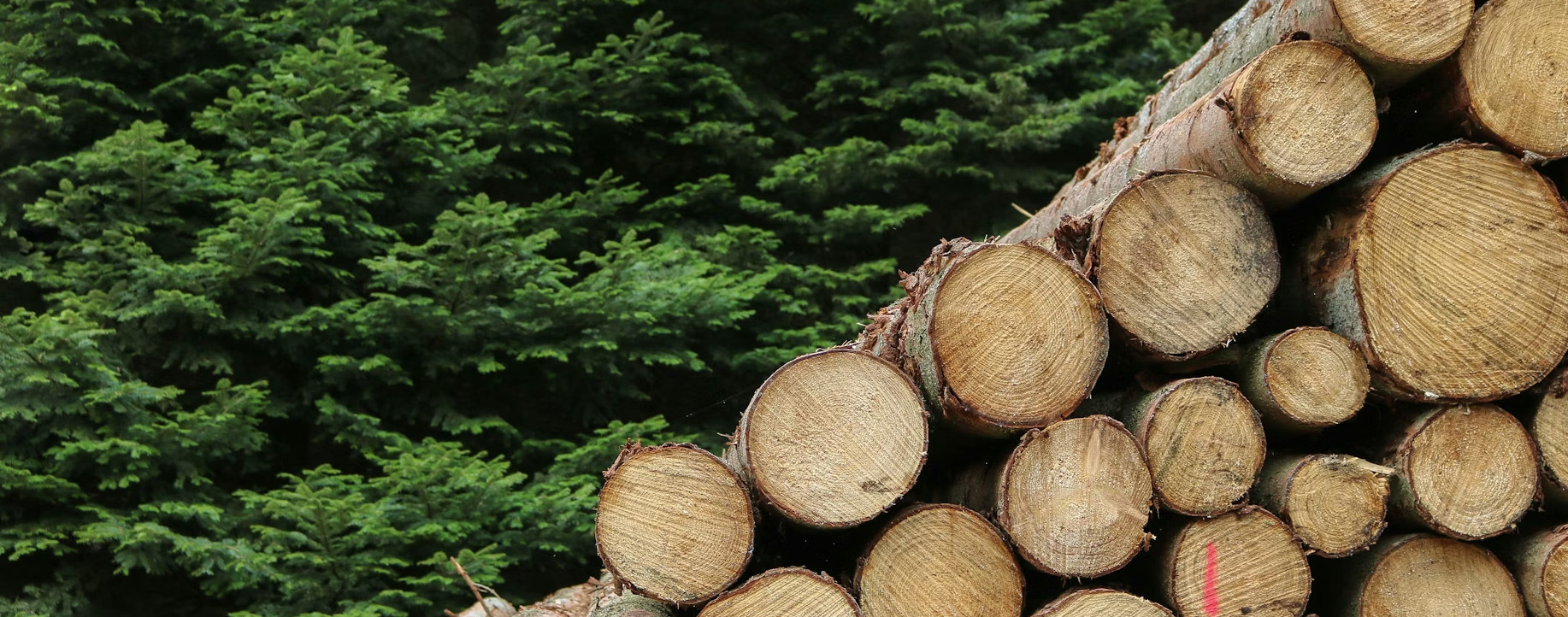 OpenTelemetry : tout comprendre sur le tracing distribué