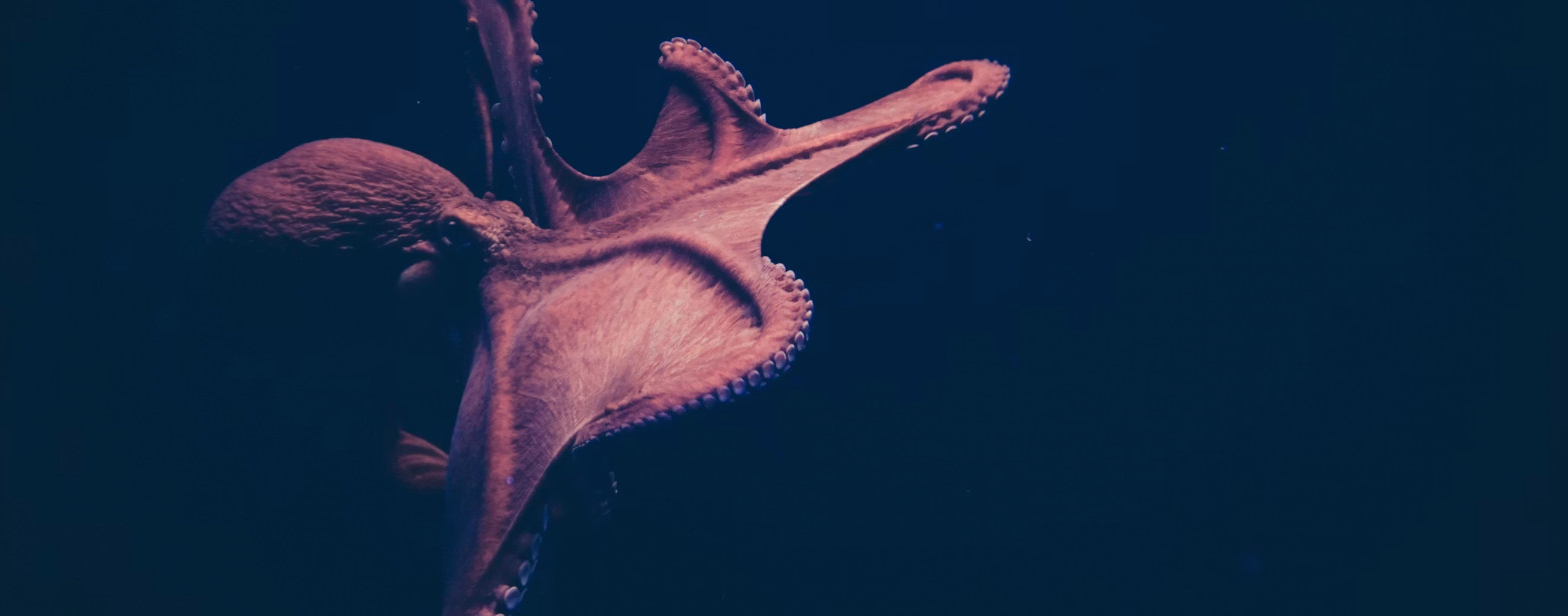 ArgoCD : le GitOps sur Kubernetes